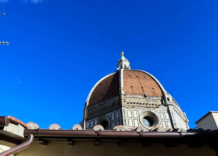 Dome View *